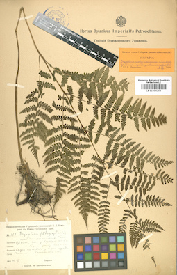 LE 01006256
