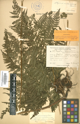 LE 01006258