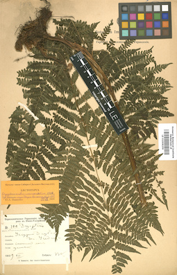 LE 01006259