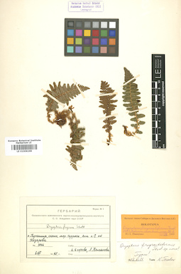 LE 01006269