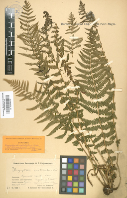 LE 01006272
