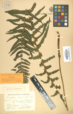 LE 01006273