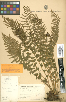 LE 01006275
