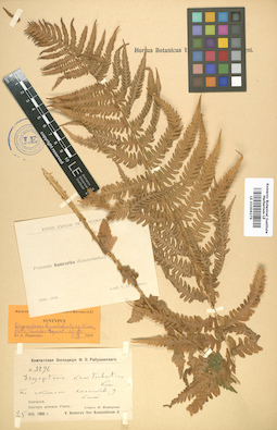 LE 01006276