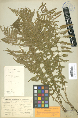 LE 01006277