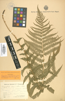 LE 01006278