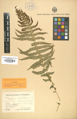LE 01006279