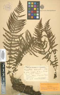 LE 01006282