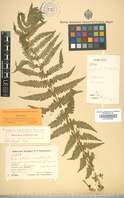 LE 01006283
