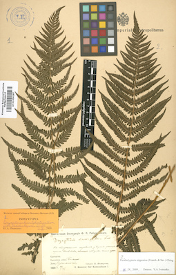 LE 01006287