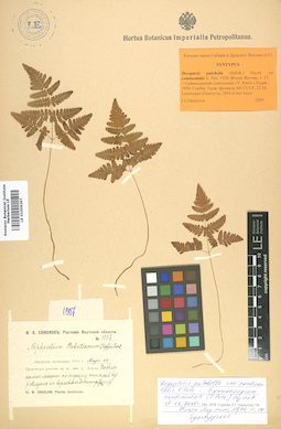 LE 01006297