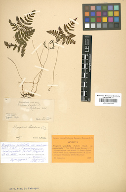 LE 01006298