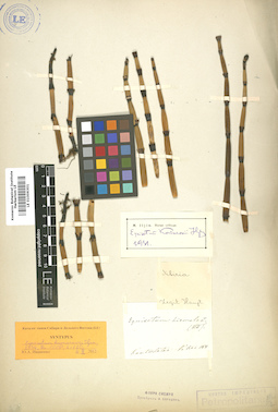 LE 01006301