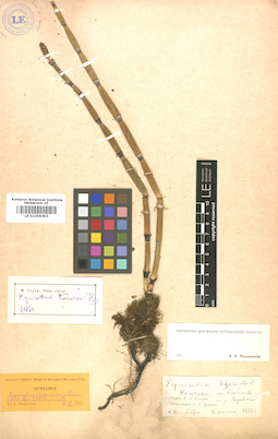 LE 01006303