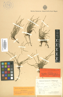 LE 01006304