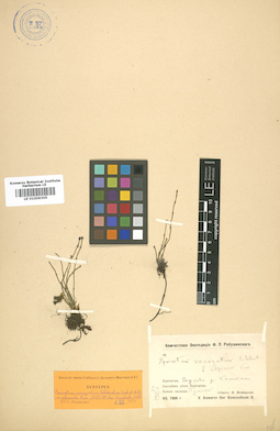 LE 01006305