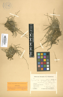 LE 01006307