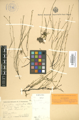 LE 01006308
