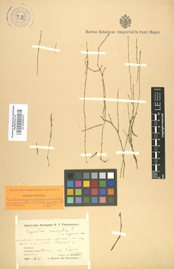 LE 01006310