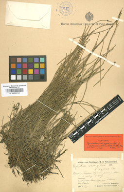 LE 01006311