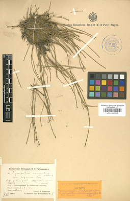 LE 01006315