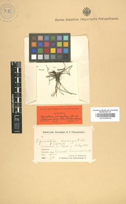 LE 01006316
