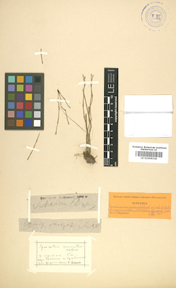 LE 01006318