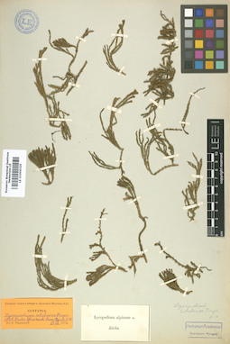 LE 01006325
