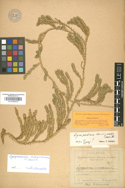 LE 01006327