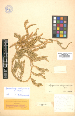 LE 01006328
