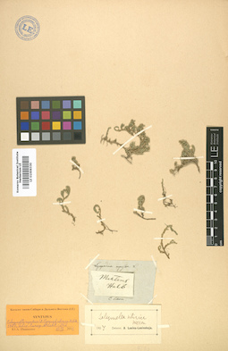 LE 01006330