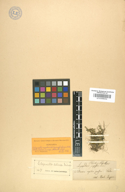 LE 01006331