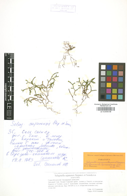 LE 01006338