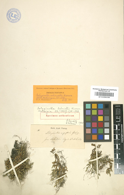 LE 01006339