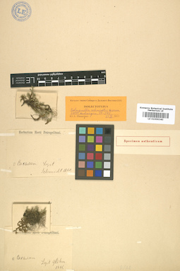 LE 01006340