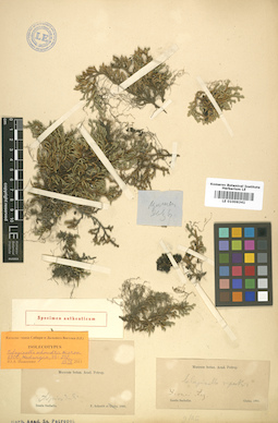 LE 01006341
