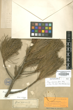 LE 01006345