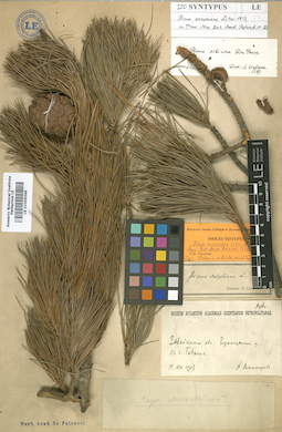 LE 01006346