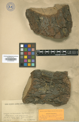 LE 01006352