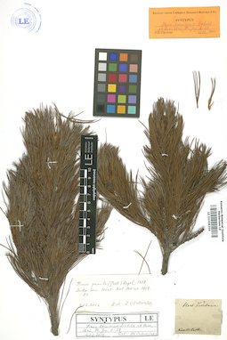 LE 01006359