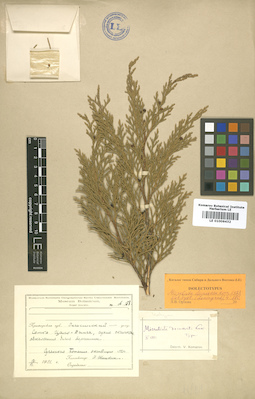 LE 01006432