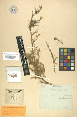 LE 01006434