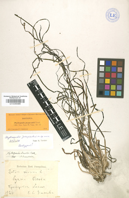 LE 01006485
