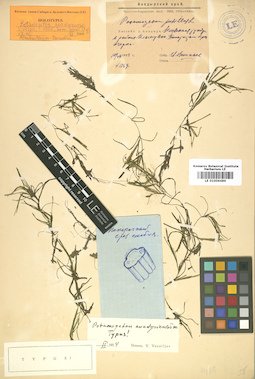 LE 01006486