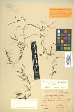 LE 01006487