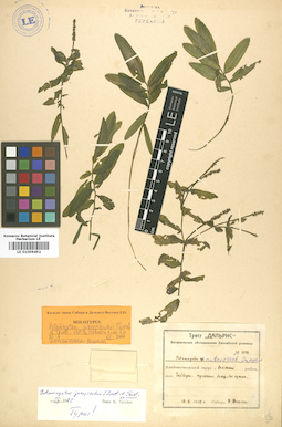 LE 01006492