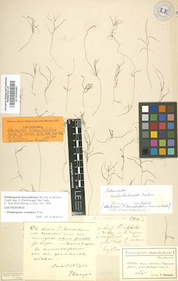 LE 01006493