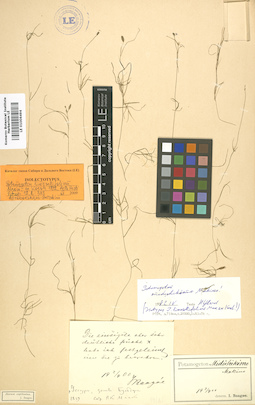LE 01006494