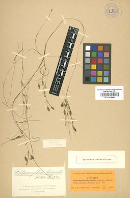 LE 01006495