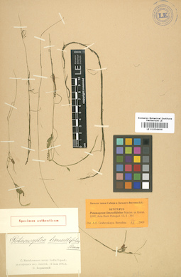 LE 01006496